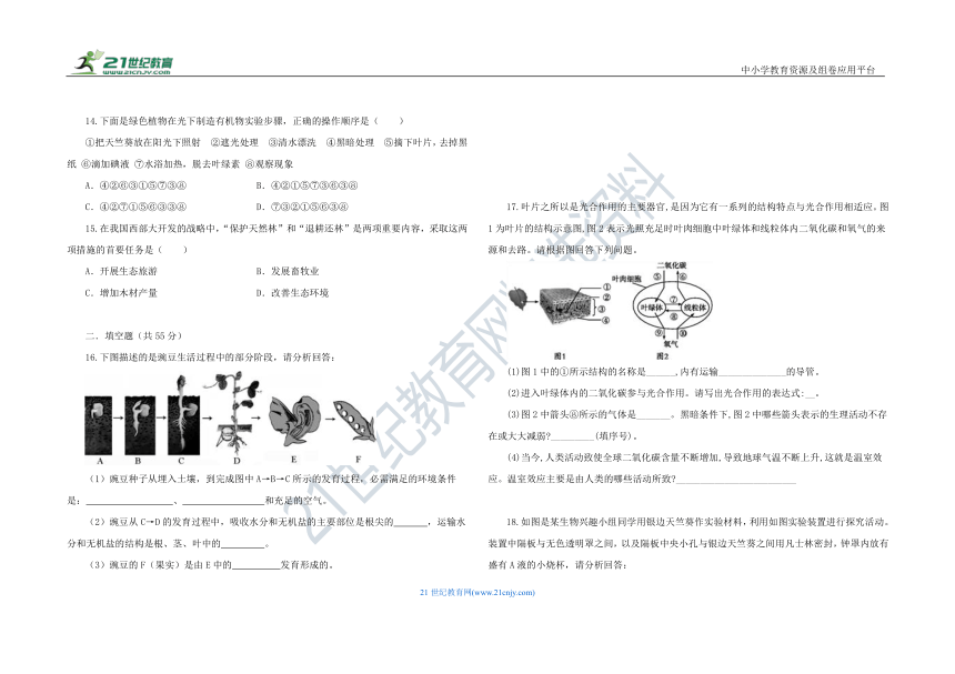 人教版七年级生物 上册 第三单元 生物圈中的绿色植物 单元测试 A卷（含解析）