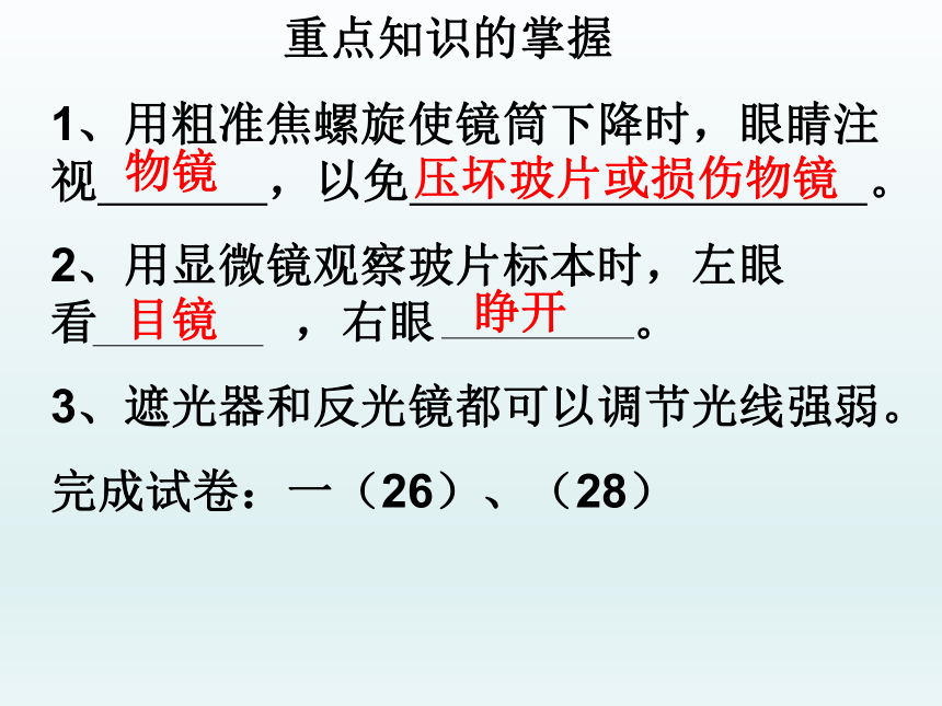 人教版七年级生物上册第二单元生物体的结构层次期中复习课件(共19张PPT)