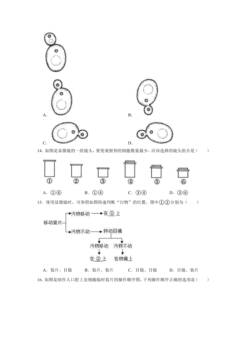 广东省茂名市信宜市金垌中学2022-2023学年七年级上学期期中生物试卷（含解析）