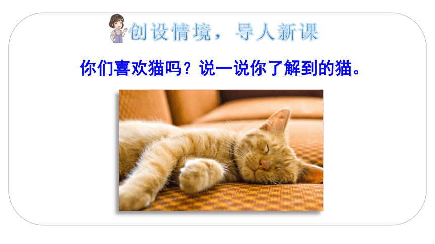 13 猫    课件（2课时  34张ppt）