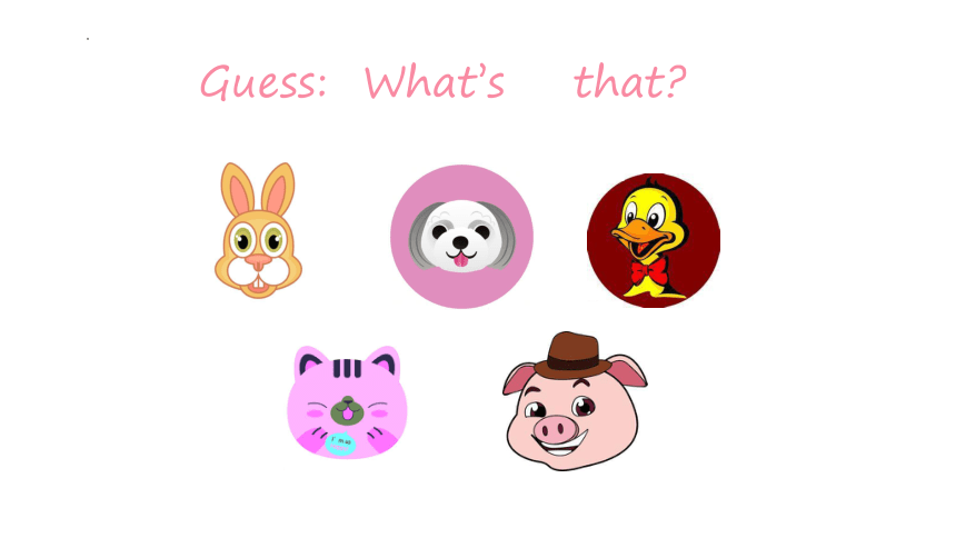 Unit 4 We love animals Part C 课件（共18张PPT）