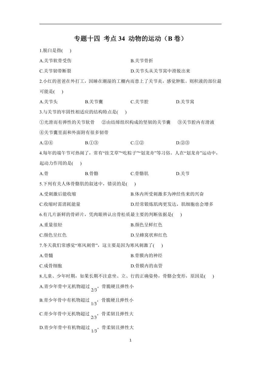 2023年中考生物（人教版）一轮复习高频考点练习：专题十四 考点34 动物的运动（B卷）（含解析）
