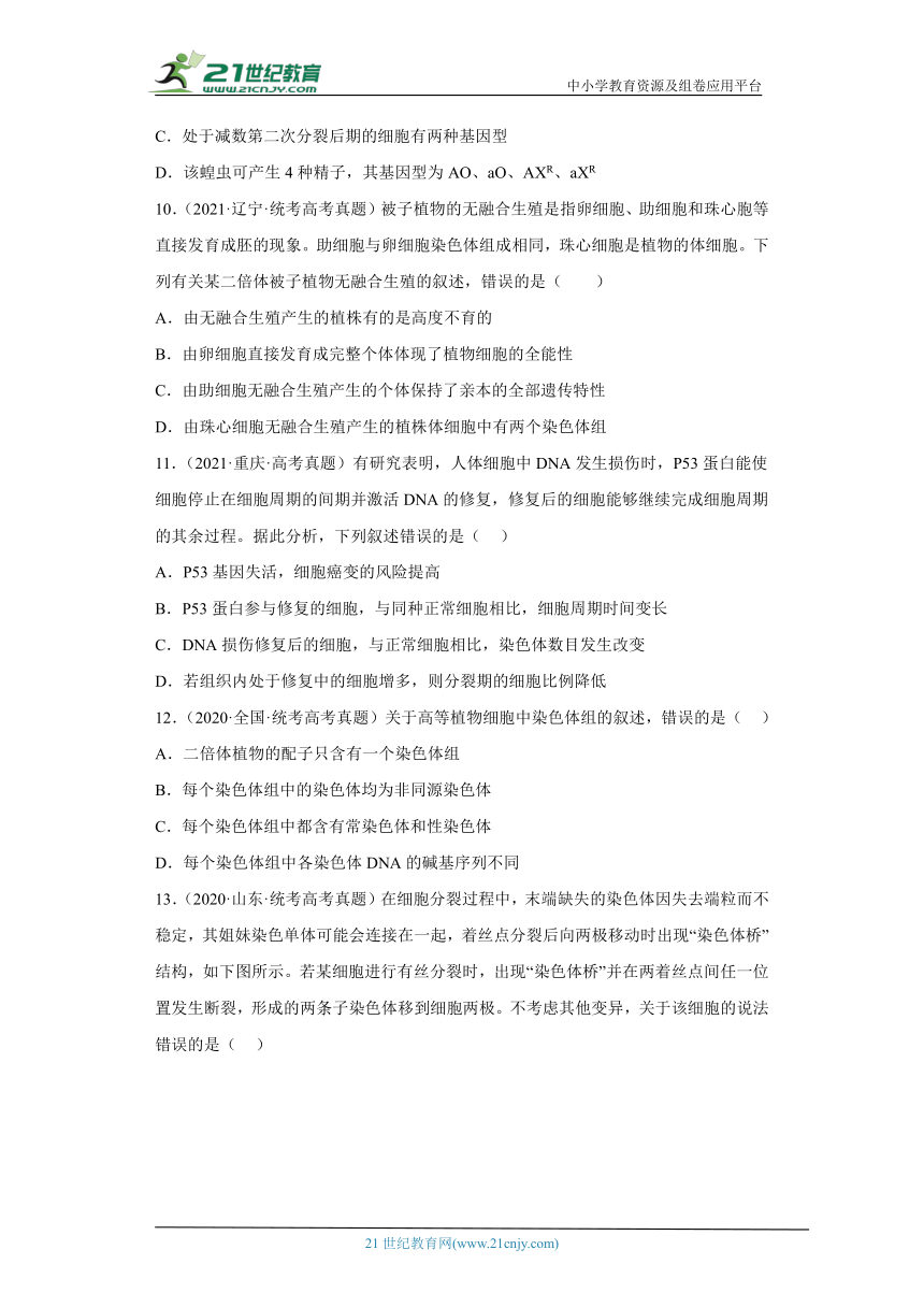 五年2018-2022高考生物真题按知识点分类汇编46-染色体变异（含解析）