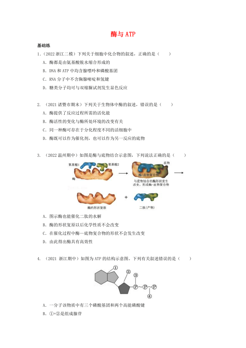 高一生物下学期期末考试分类汇编：酶和ATP（word版含解析）