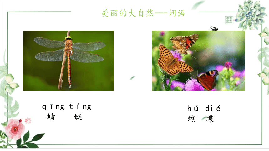 新教版（汉语）一年级语文下册 听说 13 美丽的大自然 课件 (17张PPT 少数民族专用）