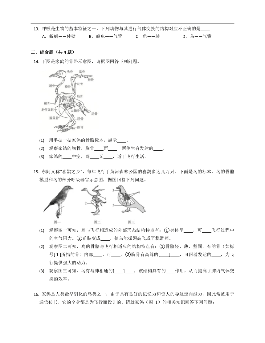 苏科版七年级下第12章空中的生物（含答案）