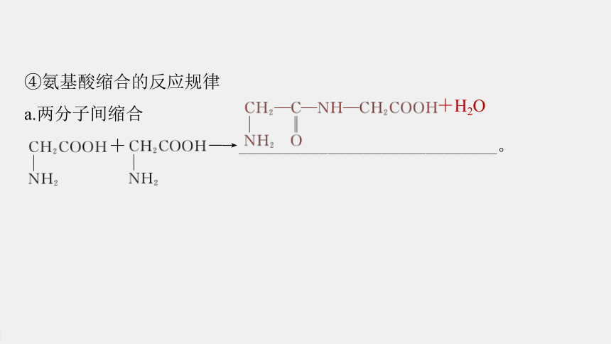 高中化学苏教版（2021）选择性必修3 专题6  第二单元 第1课时　氨基酸、蛋白质（76张PPT）