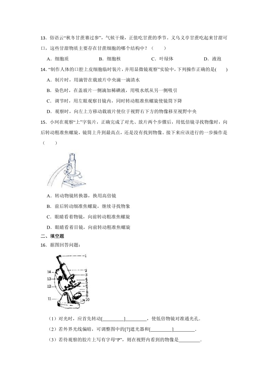 2.2细胞 同步训练（含答案）