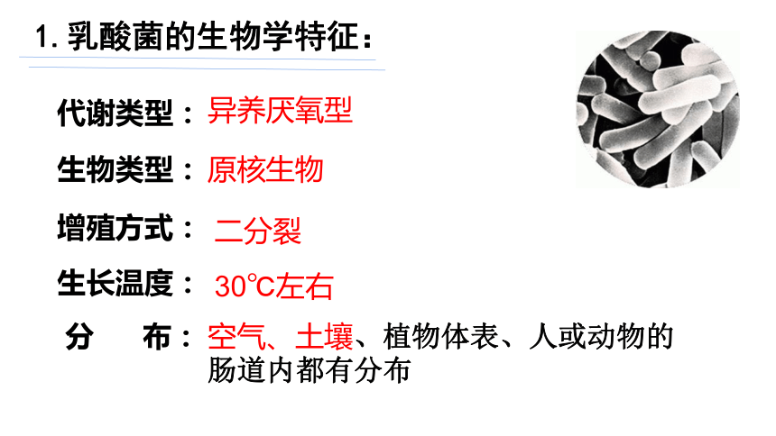 2021-2022学年高二下学期生物人教版选修1  1.3制作泡菜并检测亚硝酸盐含量课件(共23张PPT)