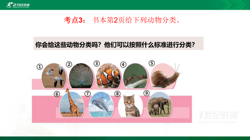 1 给动物分类 复习课件（18张PPT）
