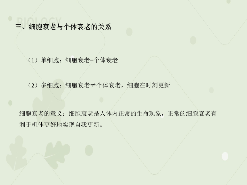 2022-2023学年高一生物人教版（2019）必修一课件：第六章 细胞的生命历程 6.3细胞的衰老和死亡（共29张PPT）