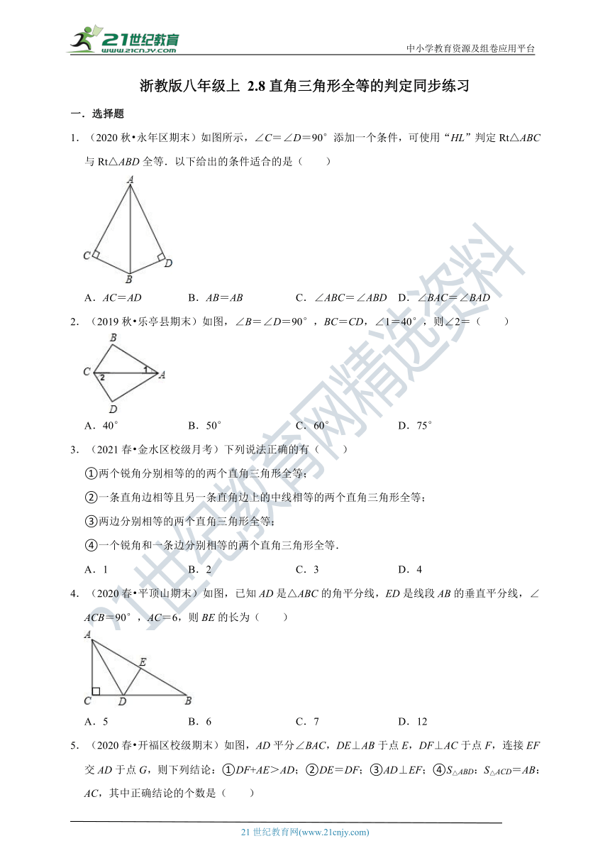 2.8 直角三角形全等的判定同步练习（含解析）