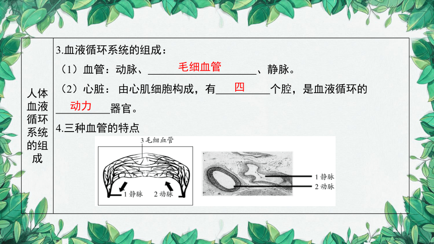 2023年中考生物复习 课题二 人体内物质的运输课件(共36张PPT)