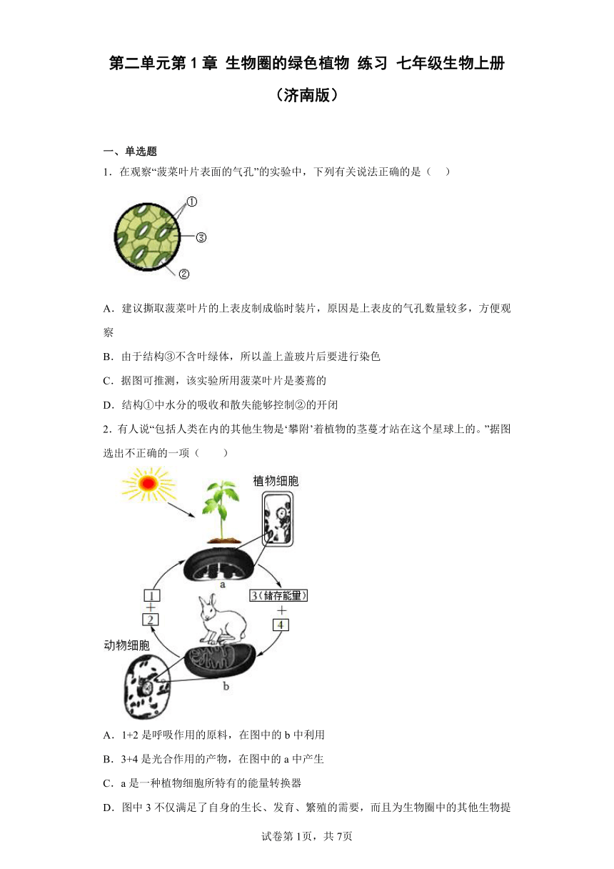 济南版七年级生物上册 第二单元 第1章 生物圈的绿色植物 练习题 （附答案）