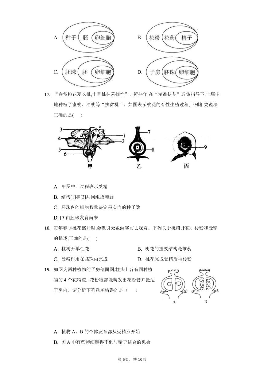 2022-2023学年人教版生物七年级上册同步作业 3.2被子植物的一生(word版含答案）