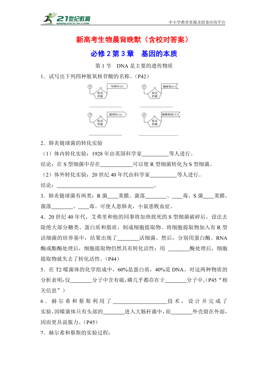 新高考生物晨背晚默：必修2第3章 基因的本质