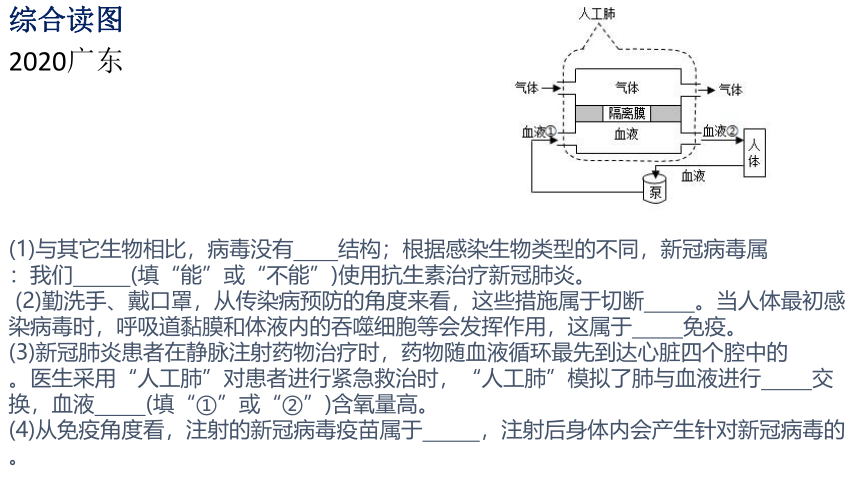 七年级期末人体系统综合复习