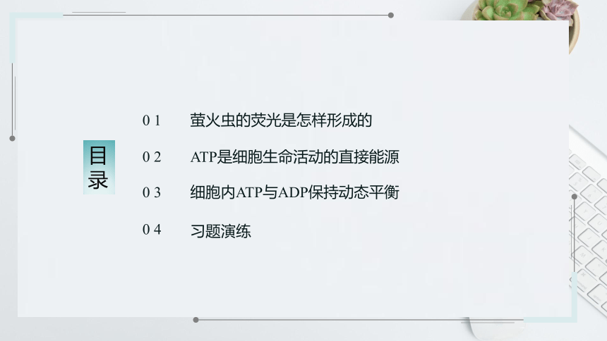 3.1 ATP是细胞内的“能量通货” 课件(共18张PPT)2022-2023学年高一上学期生物浙科版必修1