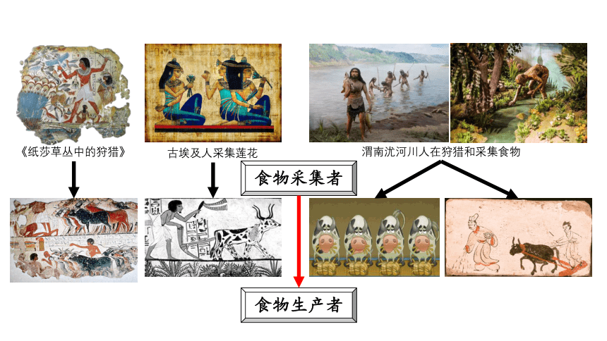 中外历史纲要（下）第1课 文明的产生与早期发展 课件（29张PPT）