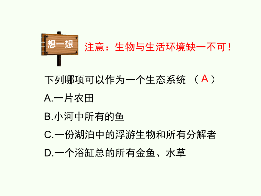 8.23.2  生态系统概述  课件(共25张PPT)2022-2023学年北师大版生物八年级下册