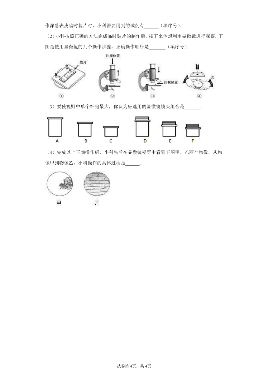 2.2 细胞 同步练习（含解析）