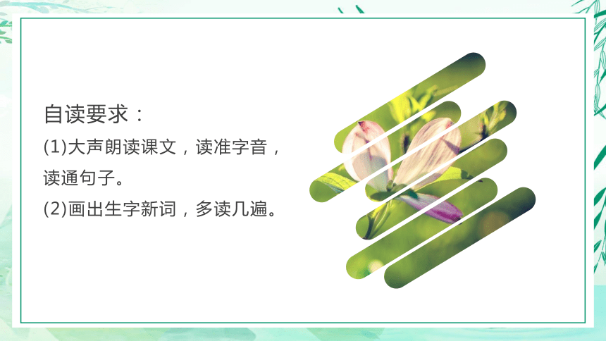 识字1《春夏秋冬》  课件