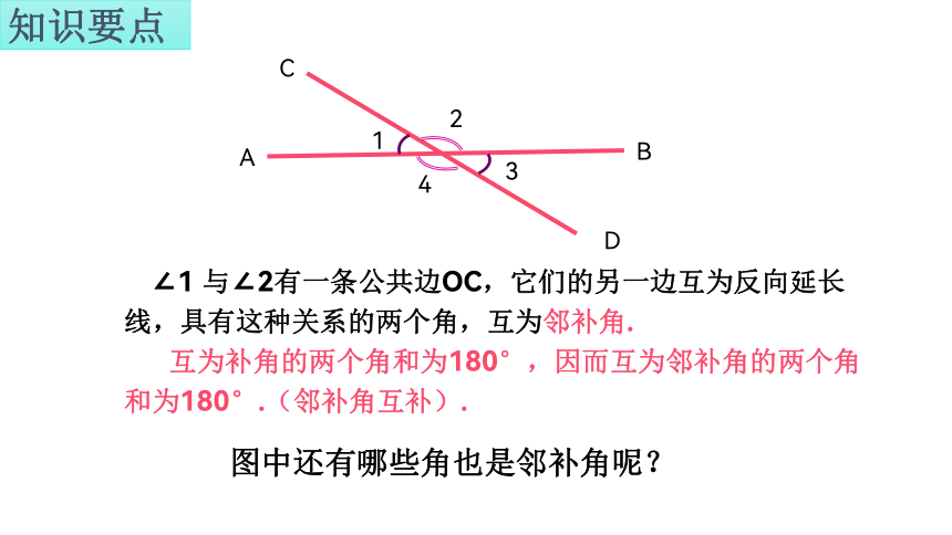 湘教版七年级下册4.1.2相交直线所成的角　课件(共24张PPT)