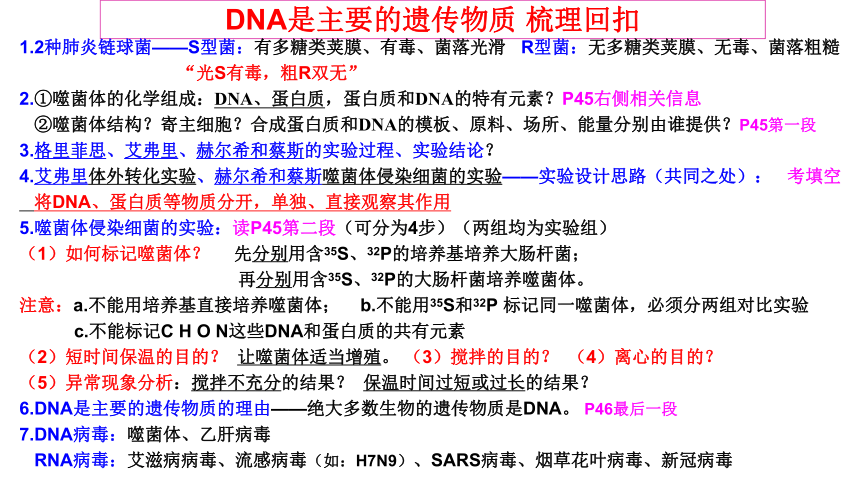 17 DNA是主要的遗传物质(共18张PPT)-2024年高考生物一轮复习（新教材新高考）