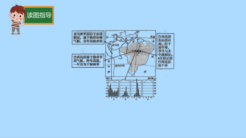 湘教版地理七年级下册8.6巴西知识梳理课件(共33张PPT)