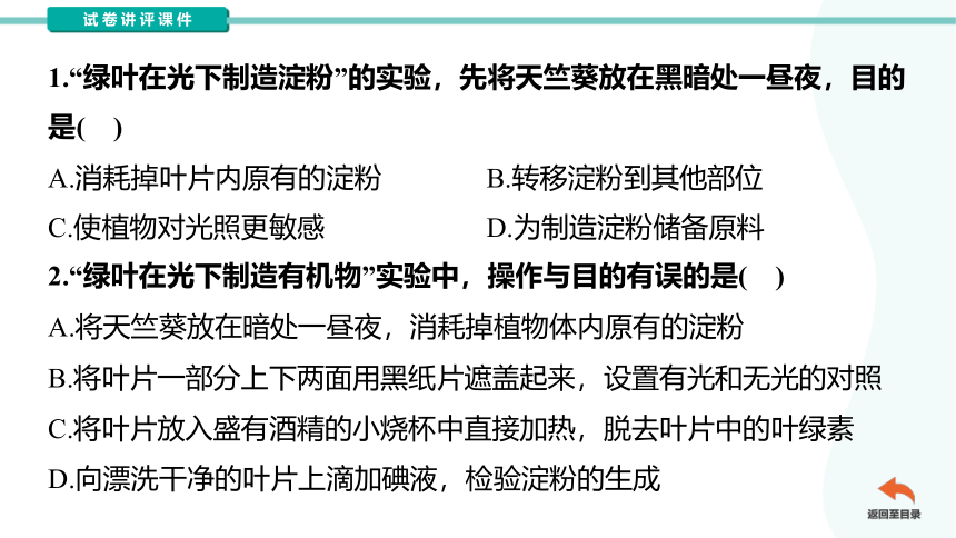 第三单元第四章绿色植物的光合作用复习试卷讲评课件（共54张PPT）