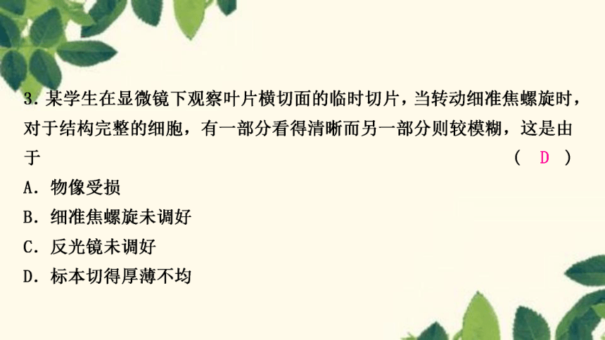 人教版生物七年级上册 期末复习专题(二)　第二单元生物体的结构层次 习题课件 (共22张PPT)