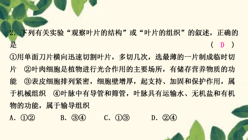 人教版生物七年级上册 期末复习专题(四)　第三单元 第三～六章 复习课件(共22张PPT)