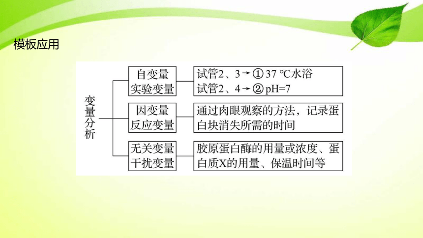 高中生物核心素养微专题之科学探究2 实验设计中的变量分析(共17张PPT)