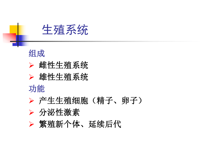 8 生殖系统-1  课件(共63张PPT) 《畜禽解剖生理学》同步教学（高教版）