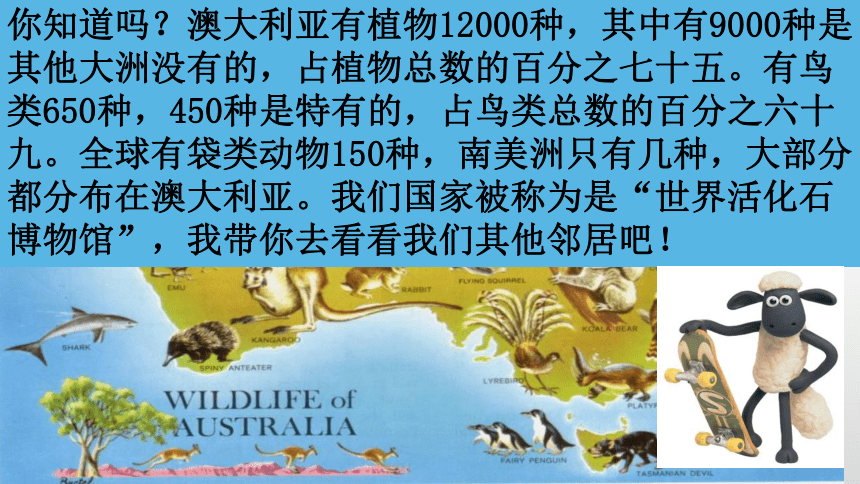 8.4澳大利亚课件(共34张PPT)2022-2023学年七年级地理下学期人教版