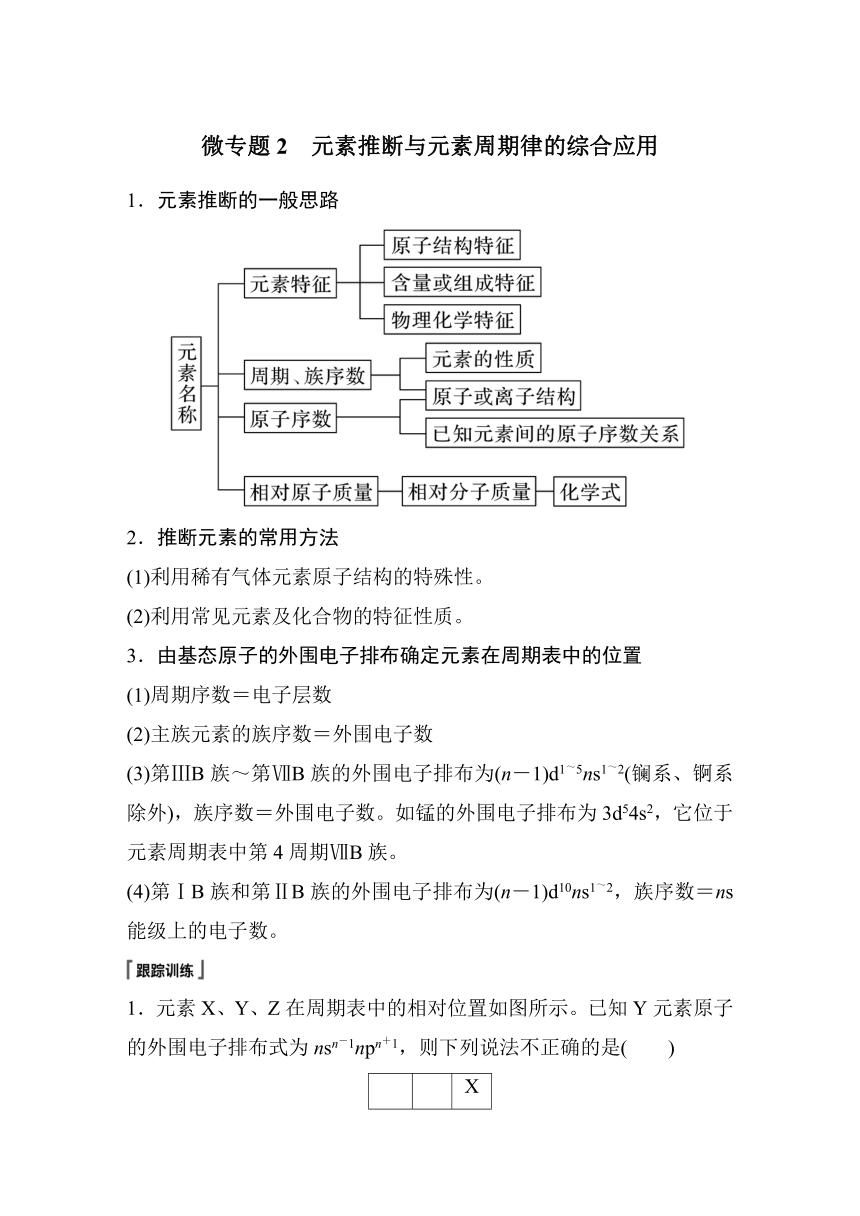 高中化学苏教版（2021） 选择性必修2 专题2 第二单元 微专题2　元素推断与元素周期律的综合应用