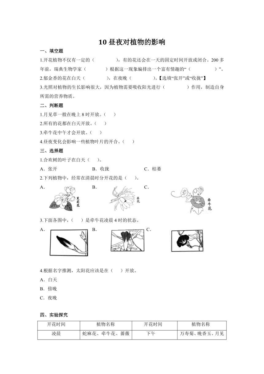 苏教版（2017秋）五年级下册3.10 昼夜对植物影响 同步试题（含答案）