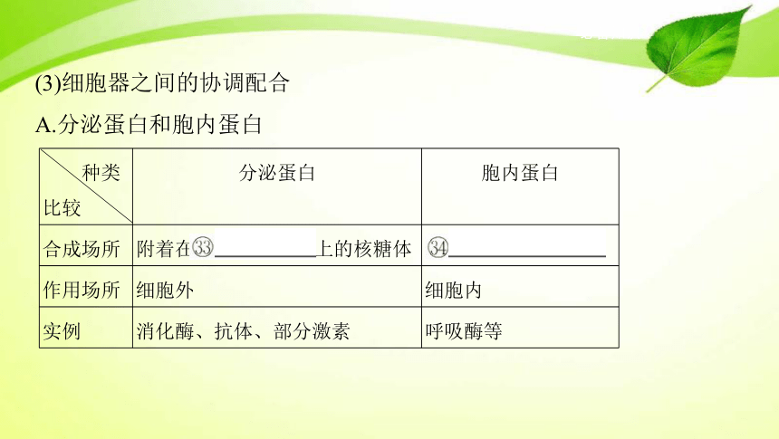 高考生物专题课件4：细胞膜、细胞器与细胞核(共81张PPT）