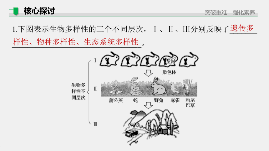 高中生物苏教版（2019）选择性必修2 第四章 第二节 创造人与自然的和谐（62张PPT）