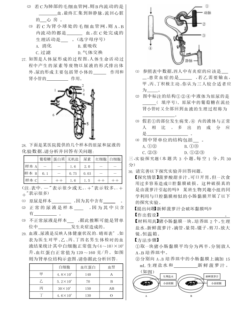 华东师大版科学八年级上册  第5章 人体的物质和能量的转化 尖子生提高测试卷（含答案）