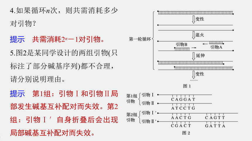 高中生物苏教版（2019）选择性必修3第三章 第一节　第2课时　PCR技术和利用PCR技术扩增DNA片段并完成电泳鉴定（76张PPT）