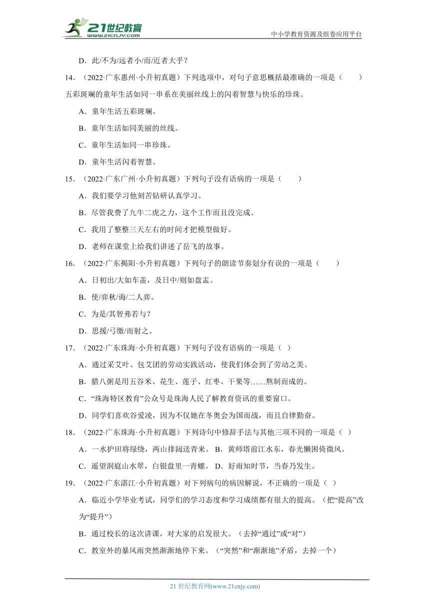 专题02 句子句法--2024年小升初语文备考真题演练（广东专用）（含答案）