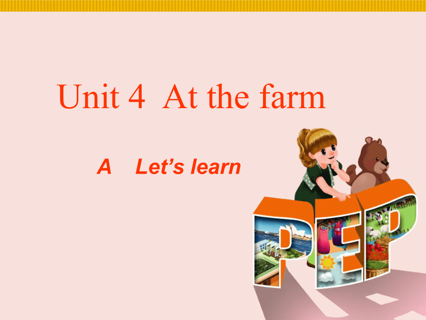 Unit 4  At the farm  A Let's learn课件（共13张ppt）