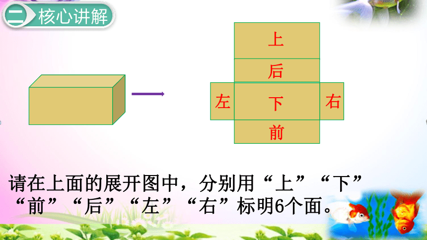 人教版五年级下册数学3.3长方体和正方体的表面积1考点精讲+同步课件【易懂通课堂】