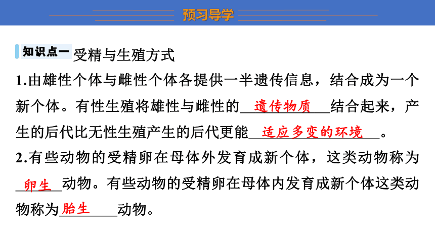 7.20.1 动物的生殖 课件(共22张PPT) 2023-2024学年苏科版生物八年级上册