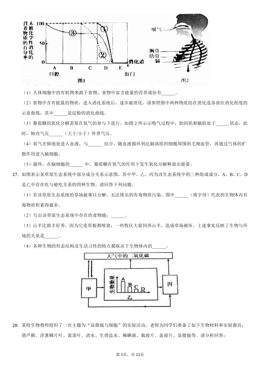 2020-2021学年湖南省常德市澧县八年级（下）期末生物试卷（word版，含解析）