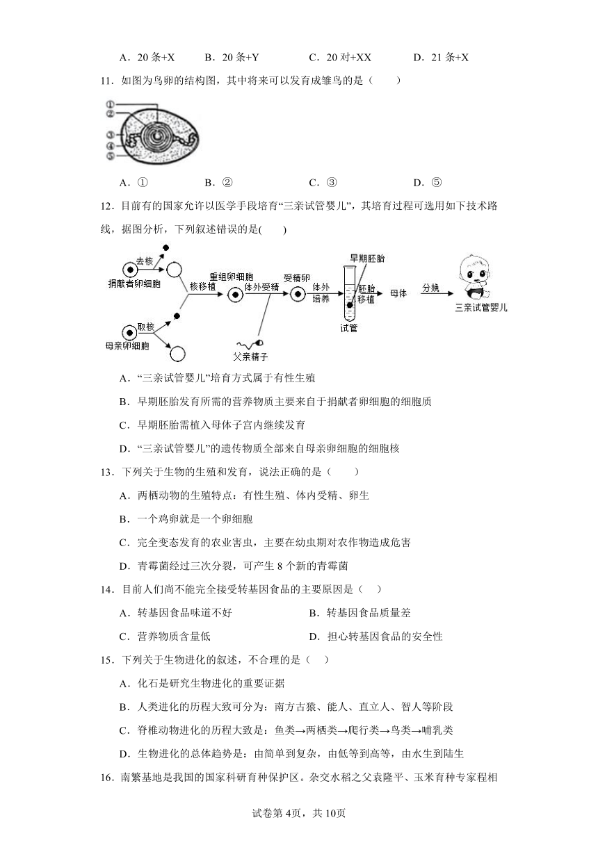 中考遗传与变异专项六突破---培优卷(含答案)