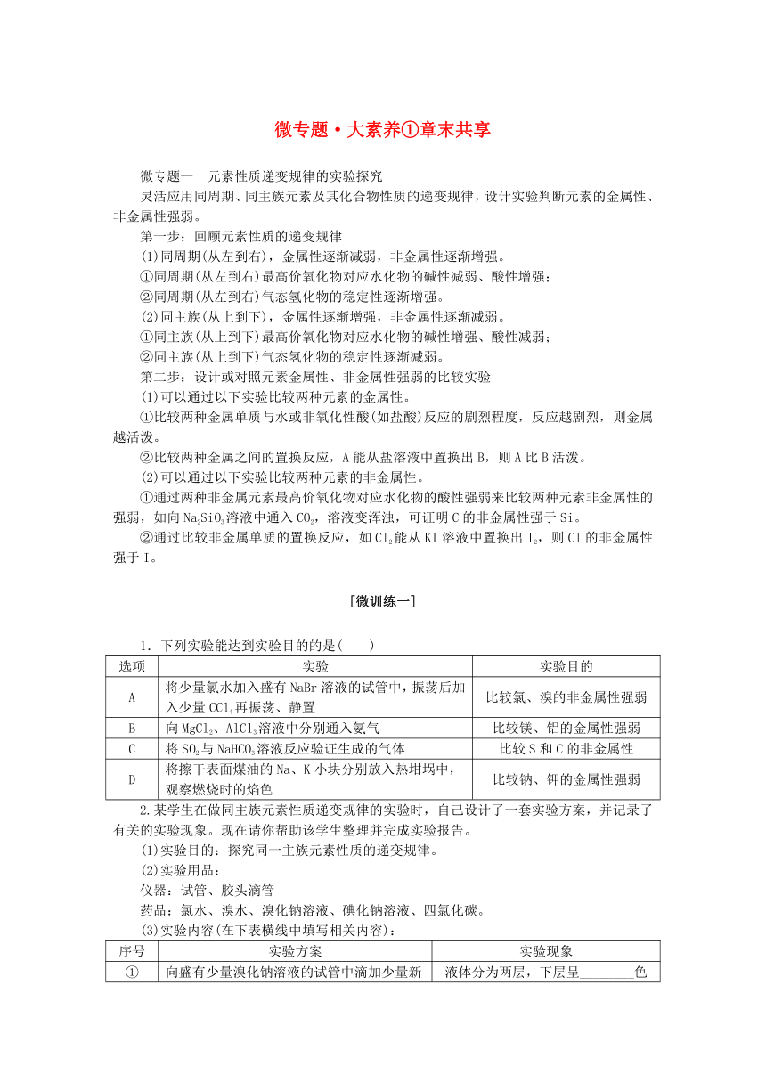 新教材2023版高中化学微专题大素养1第1章原子结构元素周期律学案(含答案)鲁科版必修第二册