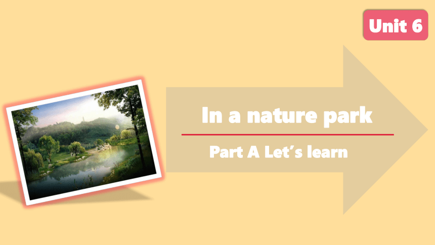 Unit 6 In a nature park A Let’s learn课件(共29张PPT)