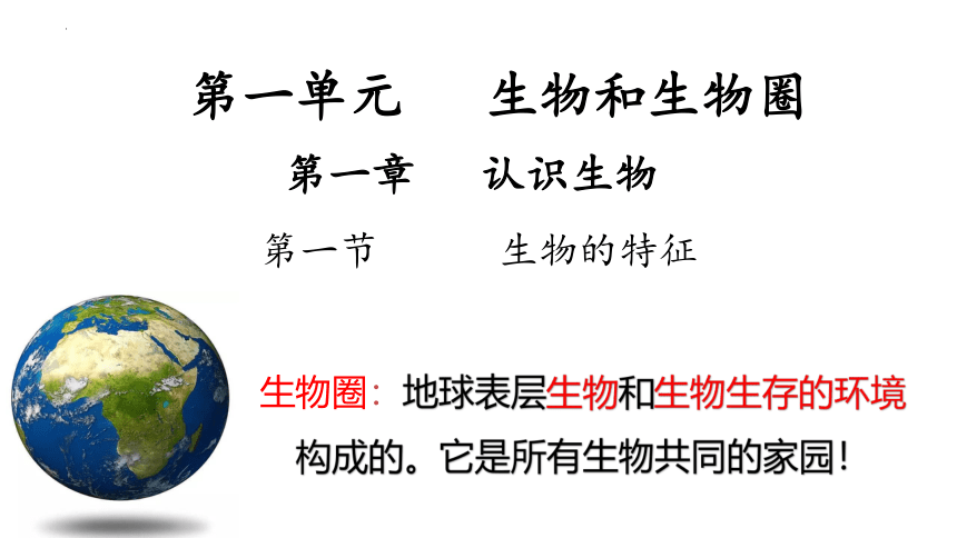 1.1.1生物的特征课件(共27张PPT)2022—2023学年人教版生物七年级上册